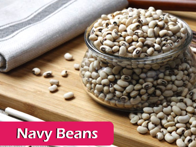 Navy beans