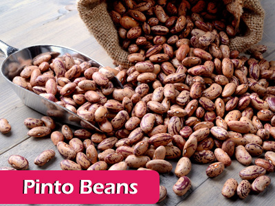Pinto beans
